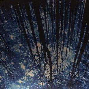 Meet your Posher, Patrik